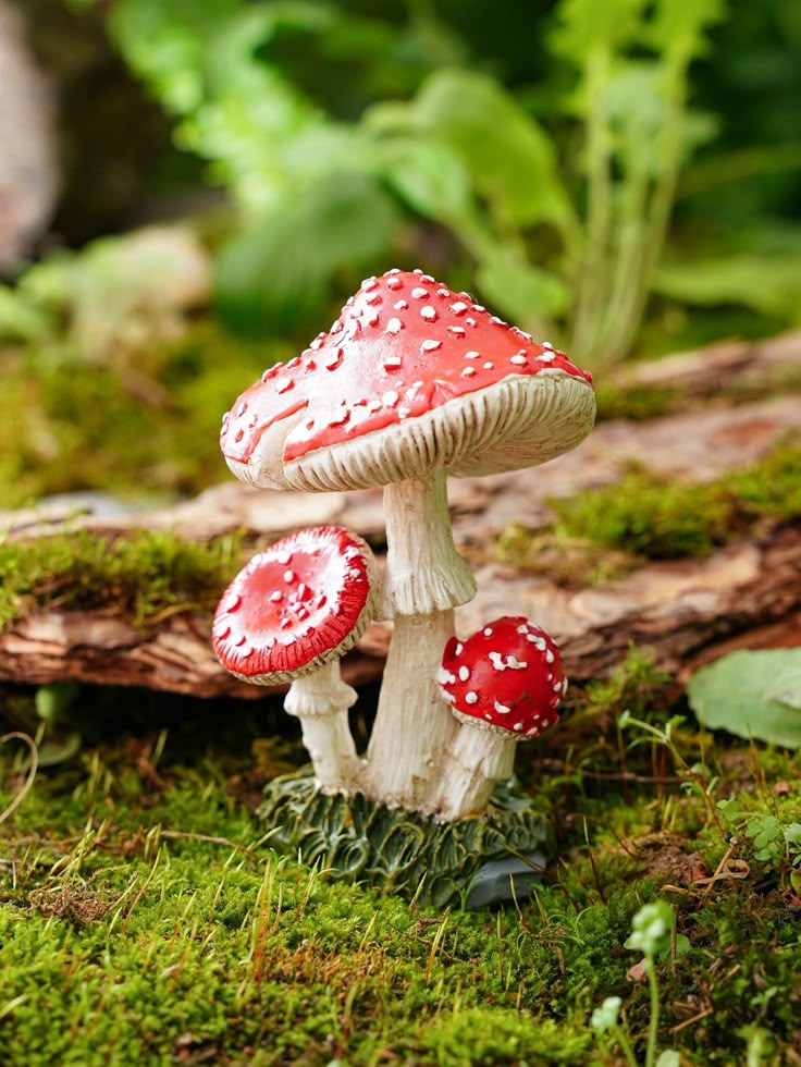 밥 반찬인 줄만 알았던 버섯, 전기를 흘렸더니···‘반도체’가 됐다고?